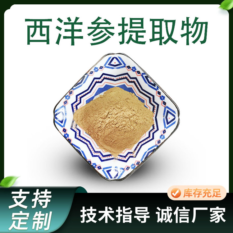 西洋参提取物 水溶性10:1浓缩粉 西洋参皂甙 食品级原料