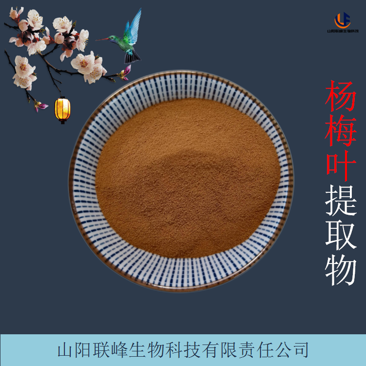 杨梅叶提取物 水溶性杨梅叶粉 含杨梅叶黄酮 化妆品原料