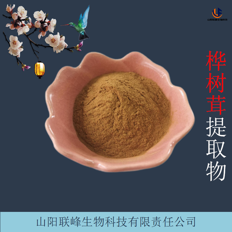 桦树茸提取物 白桦茸多糖 10:1原料浓缩萃取 支持拿样