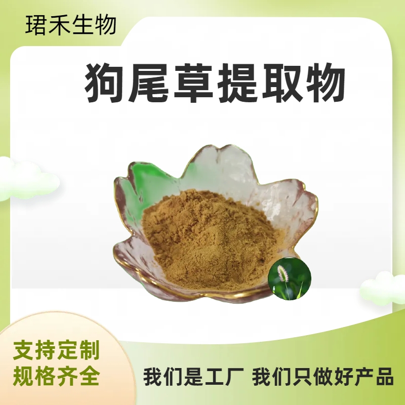 狗尾草提取物 狗尾草粉 棕黄色水溶性粉末 高倍浓缩萃取 多规格可定制