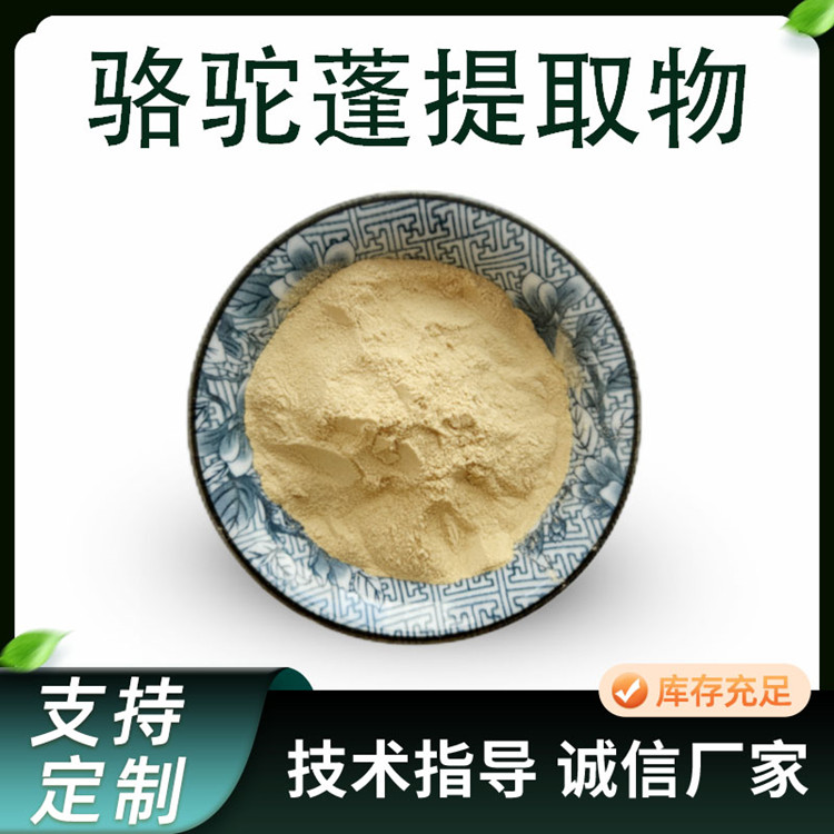 骆驼蓬提取物 比例萃取植物浓缩粉 10:1水溶原料 1kg起批