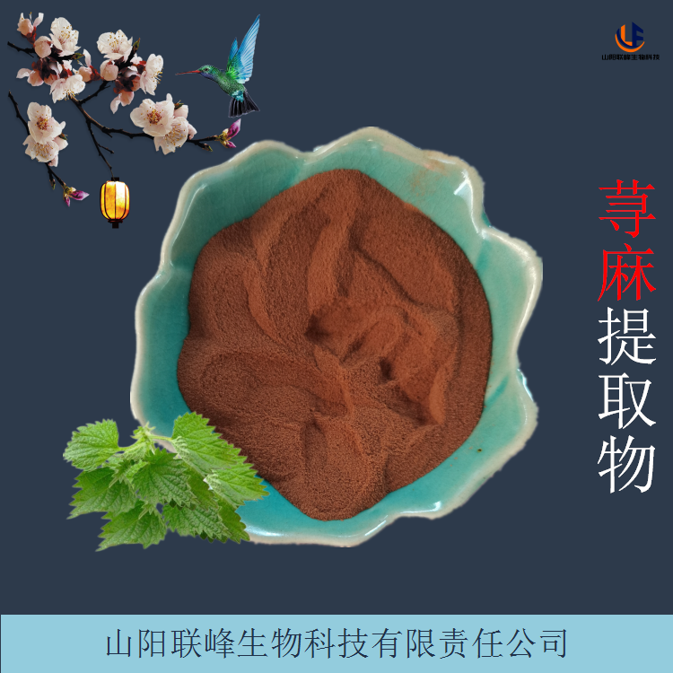 荨麻提取物 浓缩浸膏粉 含荨麻甙 1千克每袋 易溶解粉末