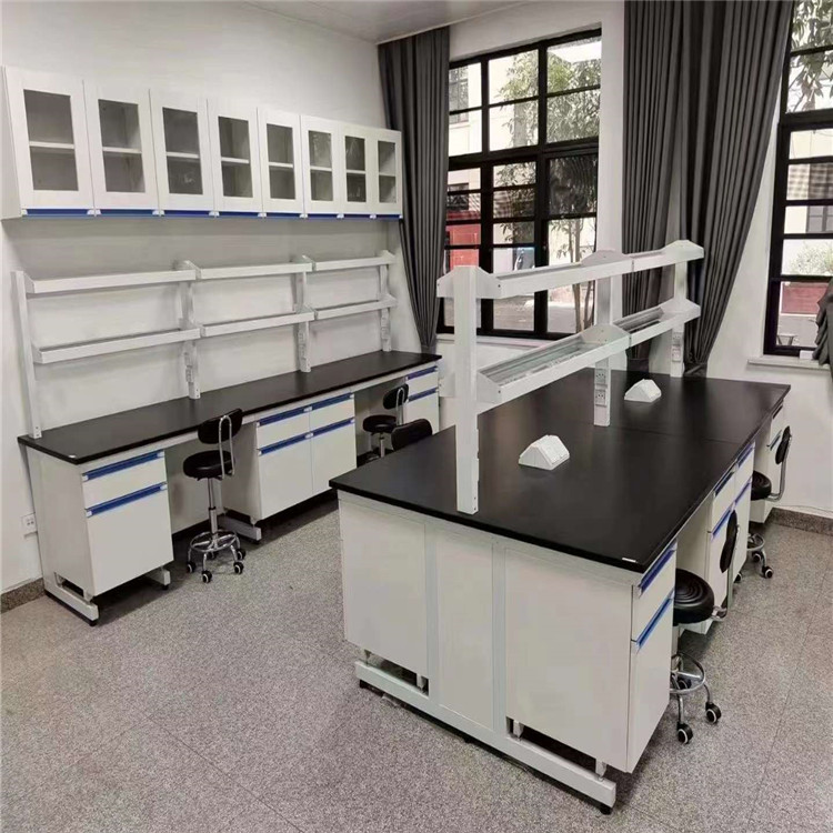 禄米 学校理化实验家具 经久耐用多功能钢木实验台