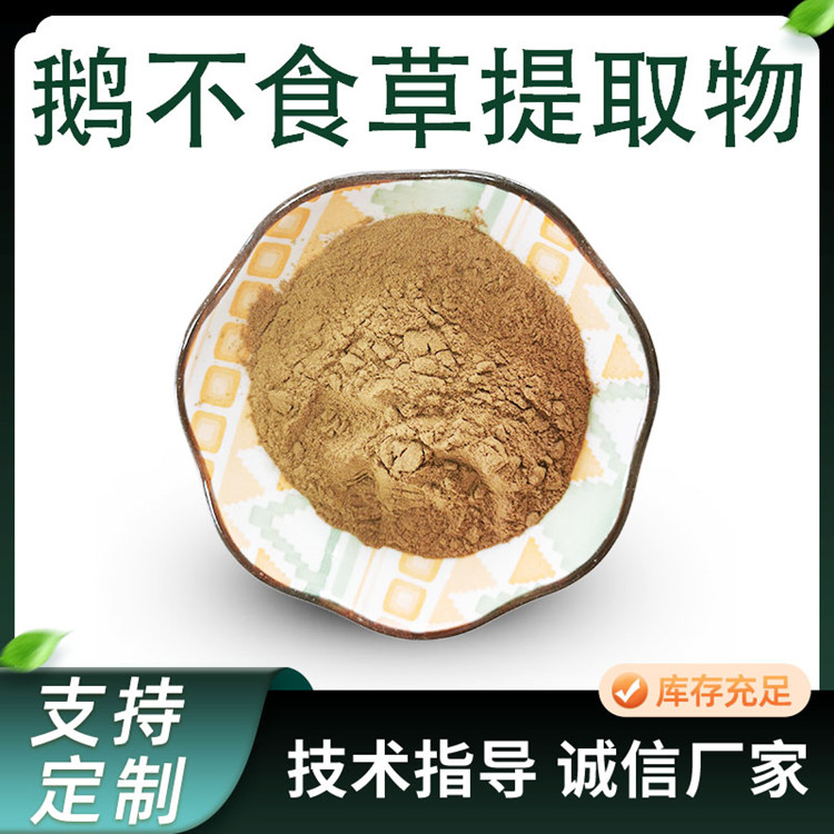 鹅不食草提取物 10:1水溶食胡荽浓缩粉 植物原料粉
