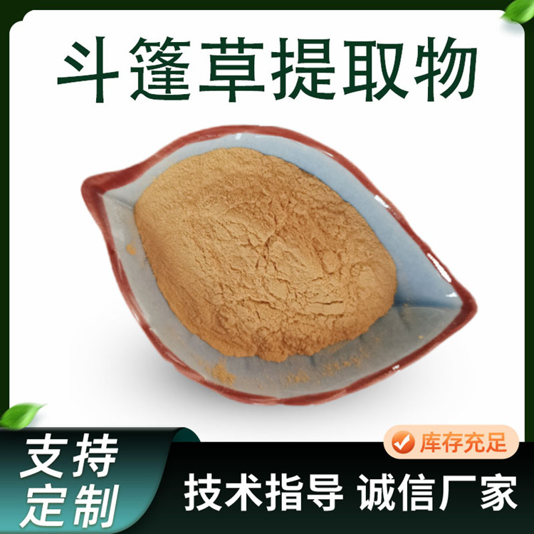 斗篷草提取物 10:1水溶羽衣草粉 水溶性好 喷雾干燥 可定制