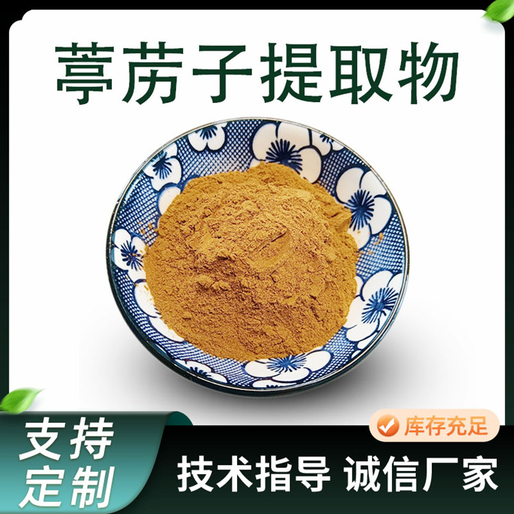 葶苈子提取物 10:1浓缩粉 葶苈子粉 水溶 1000g/袋 可定制