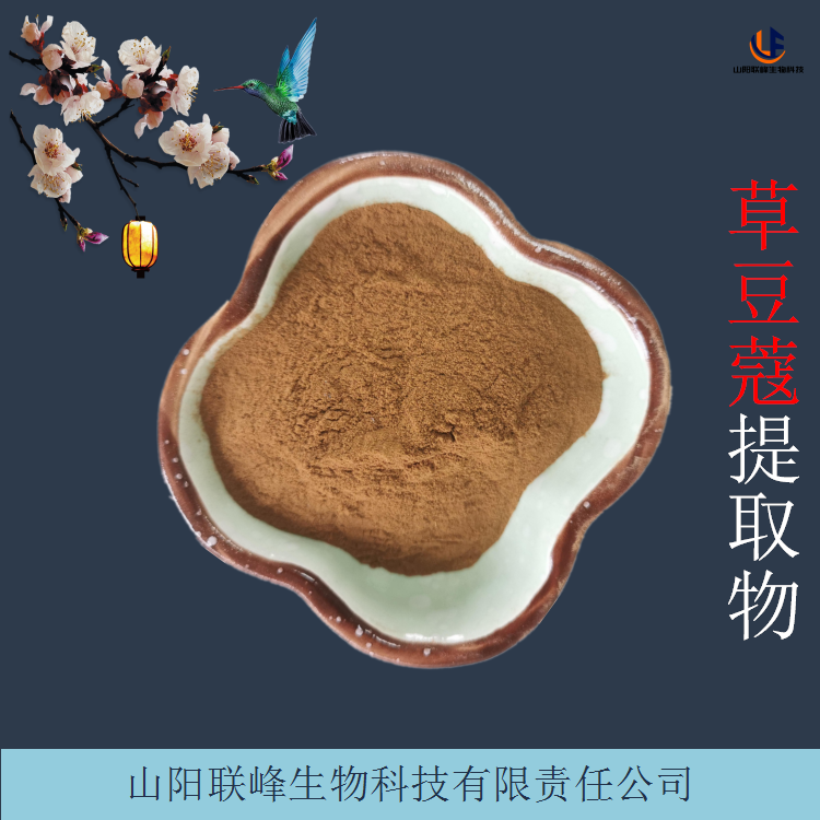 草豆蔻提取物 植物萃取浓缩草豆蔻粉 可定制规格