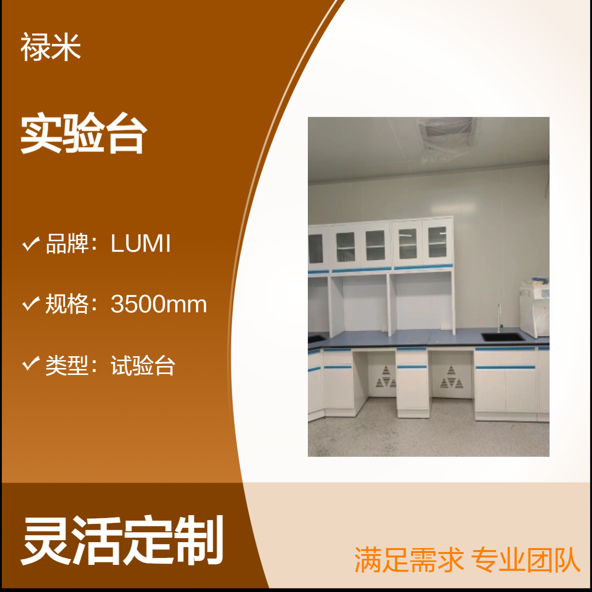 LUMI 全钢实验台专业定制 耐酸碱腐蚀科研生物检测