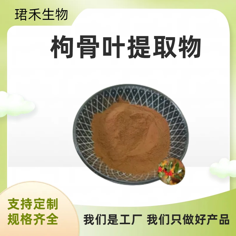 枸骨叶提取物10:1 功劳叶粉 溶解性好 固体饮料原料