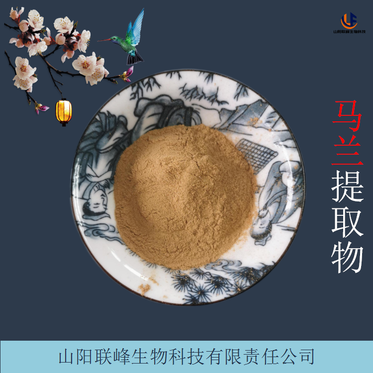 马兰提取物 10:1多规格 水溶性粉 浸膏 植物萃取原料粉