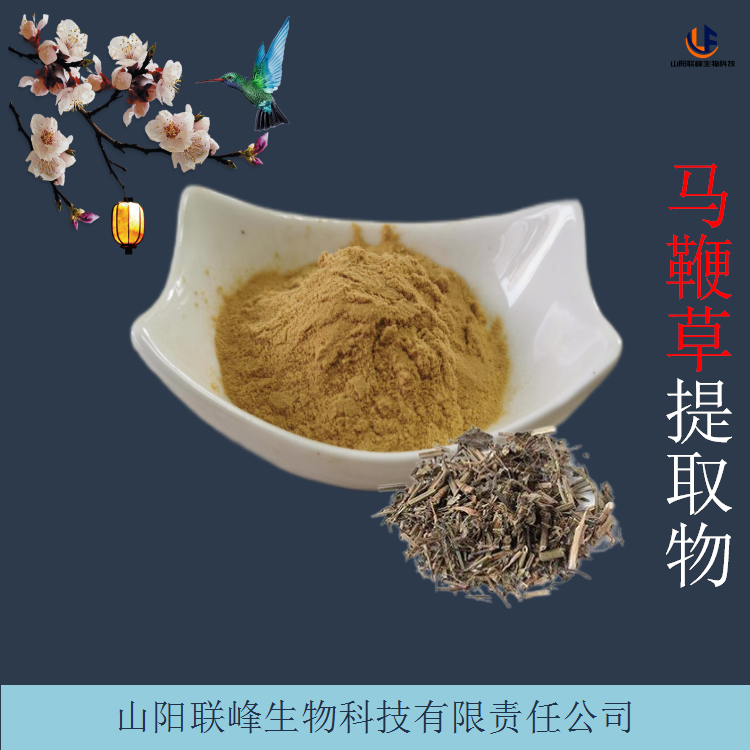 马鞭草提取物 10:1速溶马鞭草浓缩粉 浸膏 规格多样