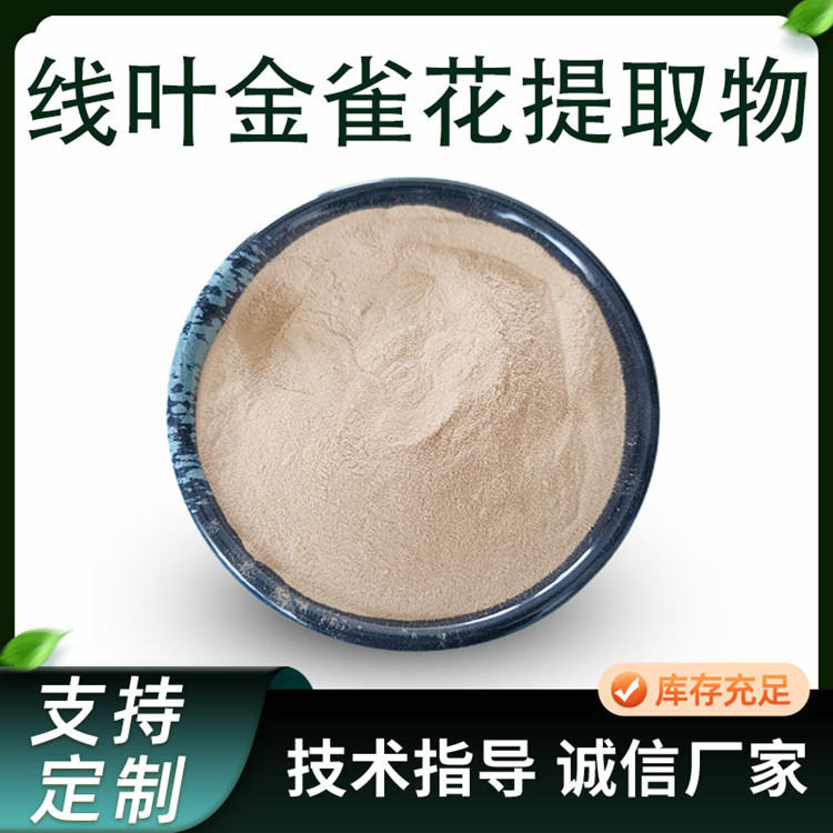 联峰 线叶金雀花提取物 南非博士茶 浓缩粉 新资源 食品级原料 可定制