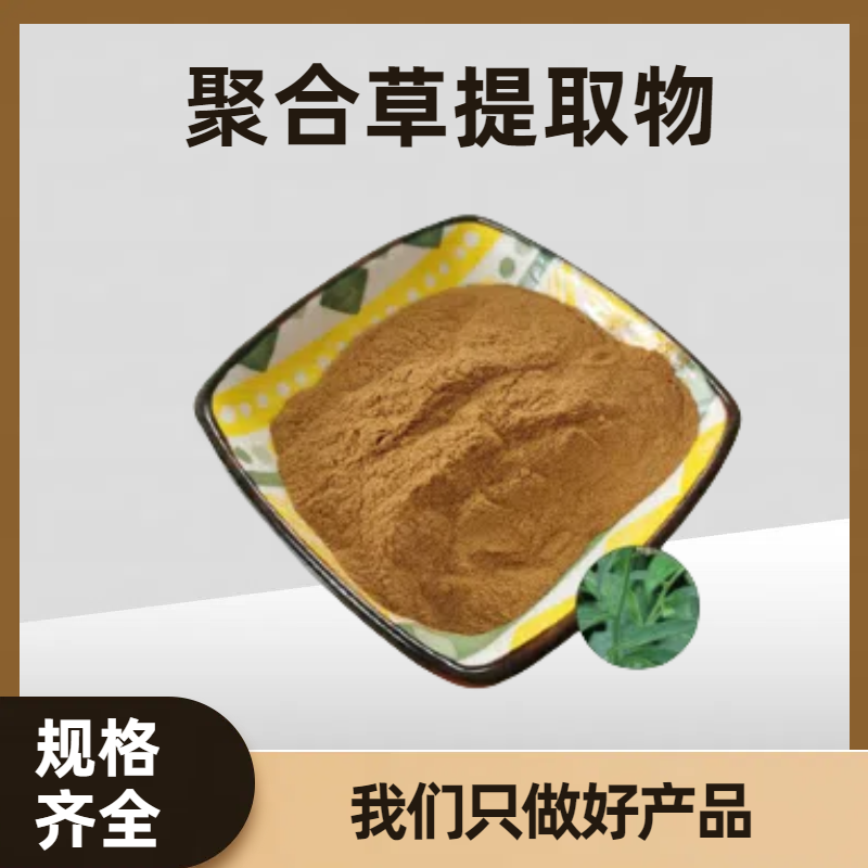 聚合草提取物10:1 肥羊草/友谊草浓缩粉 喷雾干燥工艺 食品级原料
