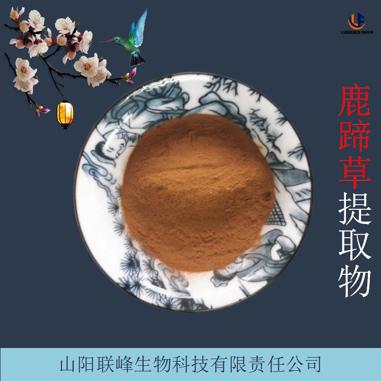 鹿蹄草提取物 水溶鹿衔草粉 10:1浓缩原料粉 规格多样
