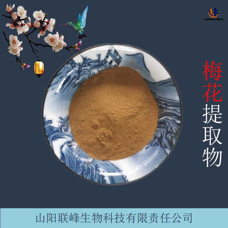 梅花提取物 10:1比例易溶梅花浓缩粉 高温回流萃取技术