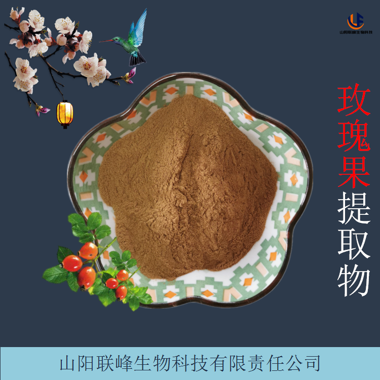 玫瑰果提取物 喷雾干燥玫瑰果粉 水溶性粉末 浓缩粉