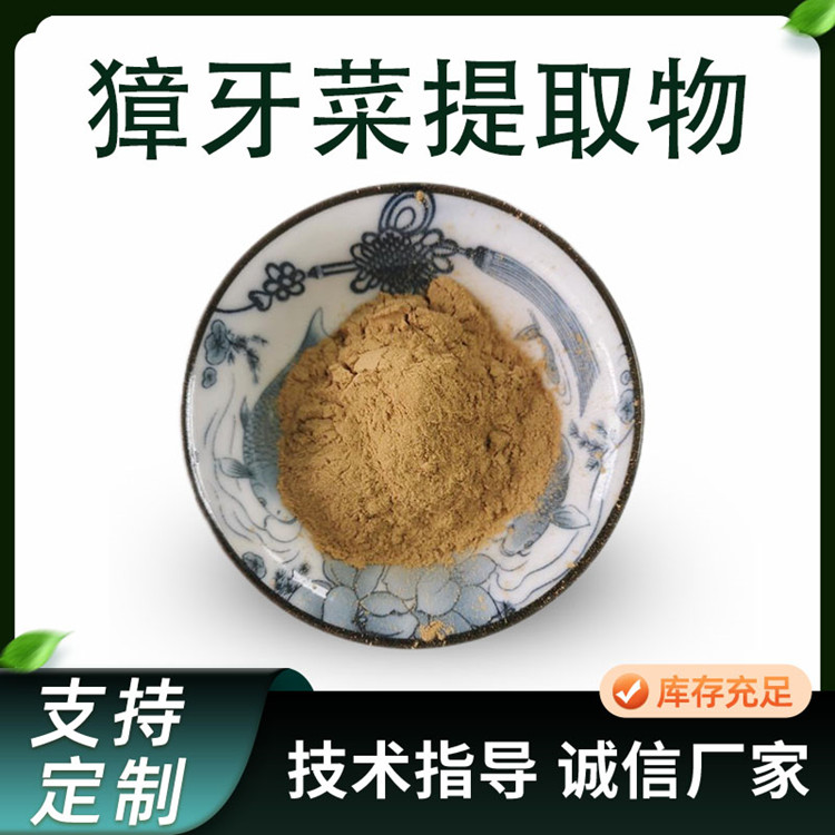 獐牙菜提取物 10:1水溶浓缩粉 喷雾干燥原料 植物萃取 TLC检测