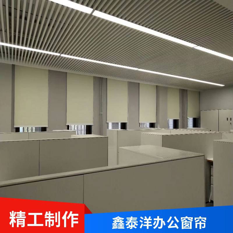 办公室阳光面料窗帘 阻燃遮光卷帘定制厂家 会议室电动遮阳帘