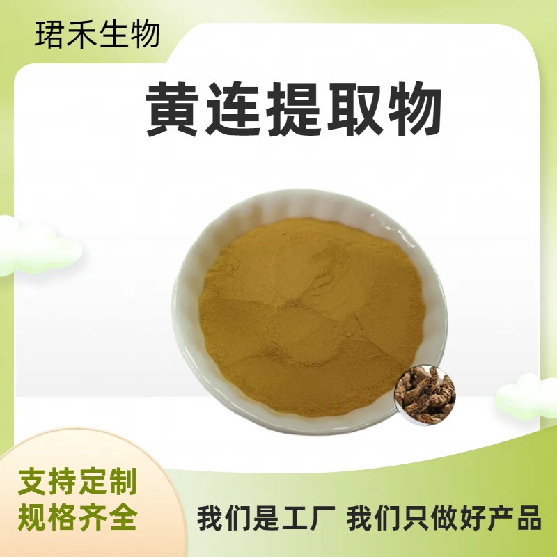 黄连提取物10:1 黄连萃取粉 速溶浓缩粉 喷雾干燥工艺