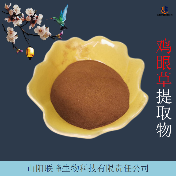 鸡眼草提取物 10:1比例浓缩萃取鸡眼草粉 品质稳定
