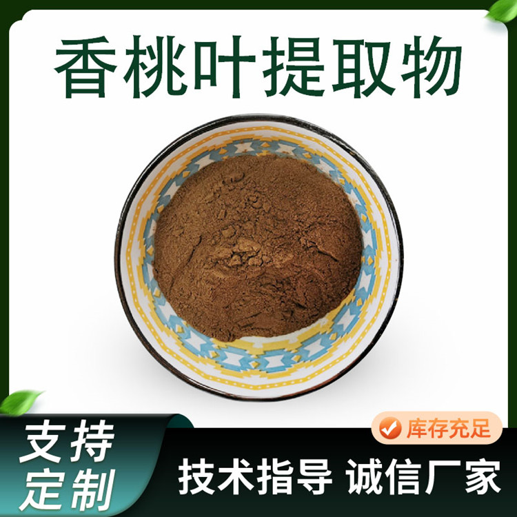 香桃叶提取物 10:1浓缩粉 水溶性桃树叶粉 喷雾干燥原料 多规格