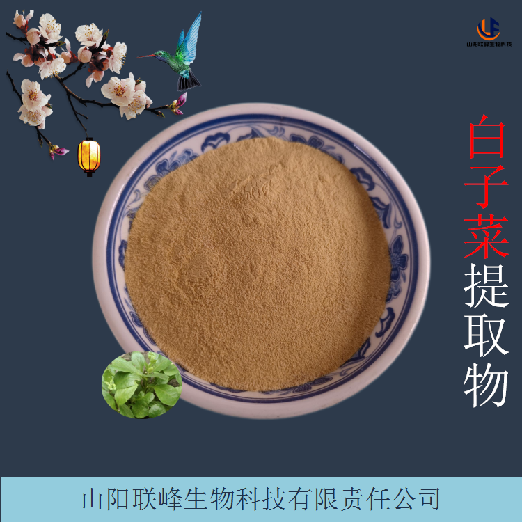 白子菜提取物 可水溶白背三七浸膏粉 粉末细腻 无结块