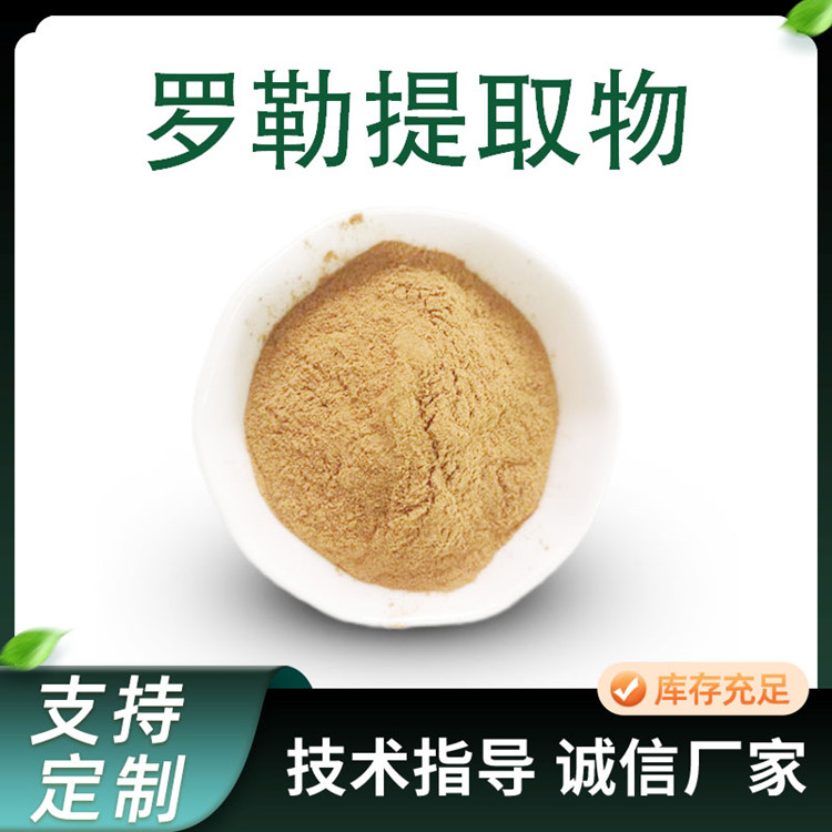 罗勒提取物 10:1比例 浓缩 水溶 九层塔粉 化妆品原料 厂家供应