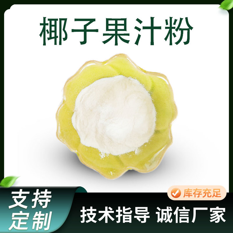 食品级速溶液椰子果粉 10:1比例椰子提取物 喷干原料粉