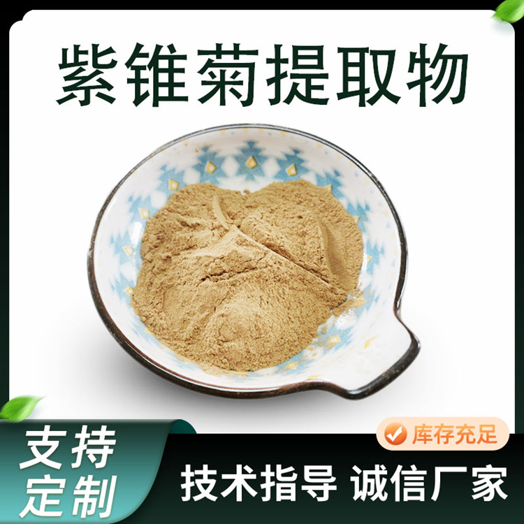 紫锥菊提取物 紫松果菊浓缩粉 10:1比例萃取 水溶性 粉末