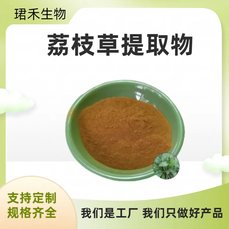 荔枝草提取物20:1 雪见草/癞蛤蟆草浓缩粉/浸膏 食品原料工厂