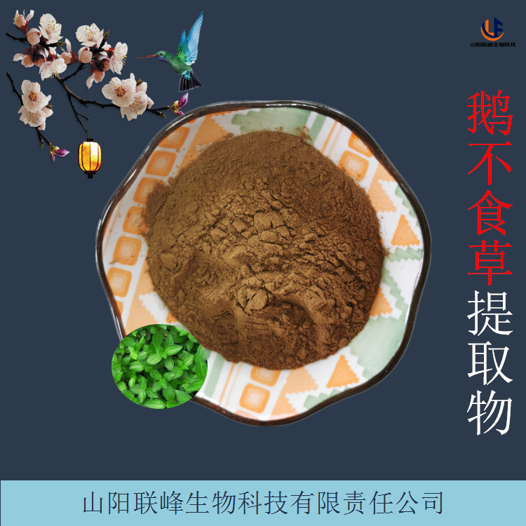 鹅不食草提取物 10:1比例萃取浓缩粉 易水溶性粉末 植物原料