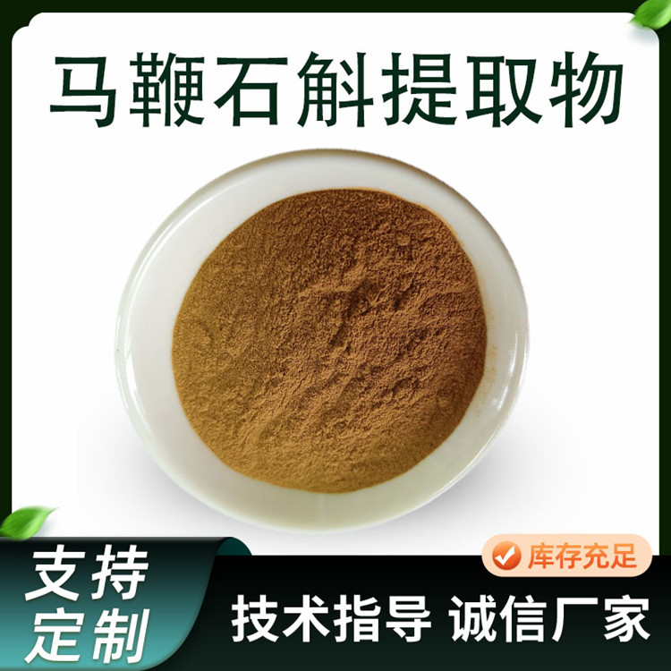 马鞭石斛提取物 水溶 植物萃取原料 多规格可定制 1公斤/包