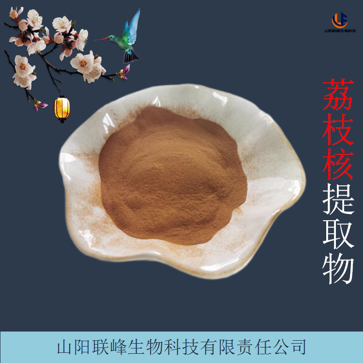 10:1荔枝核提取物 高温回流萃取 粉末细腻 可定制 1kg起订