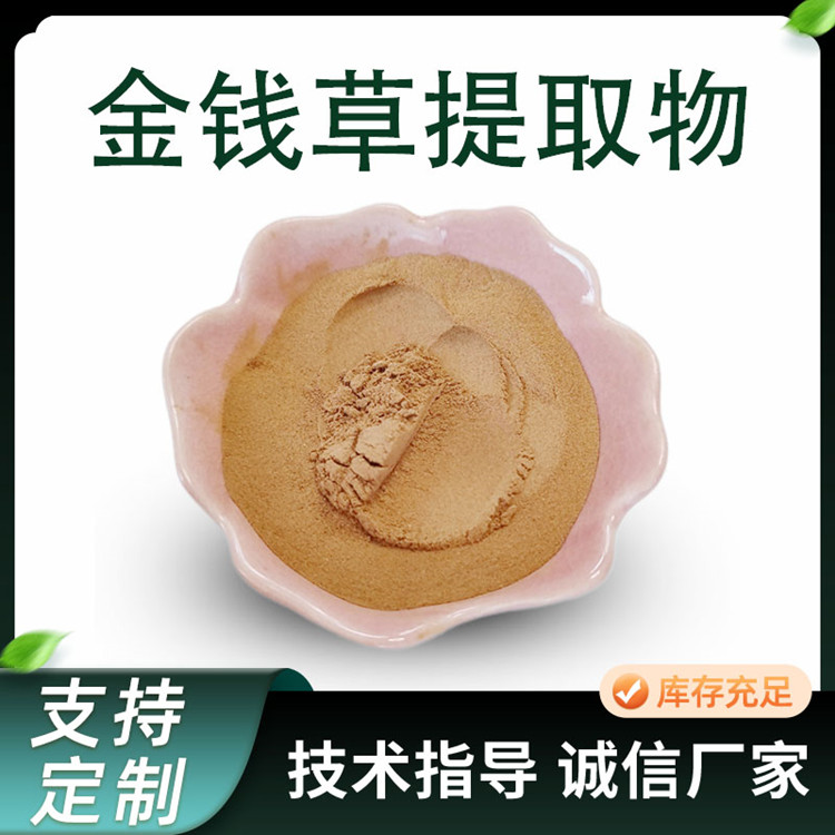 联峰生物 金钱草提取物 棕黄色粉末 两年保质期 植物原料
