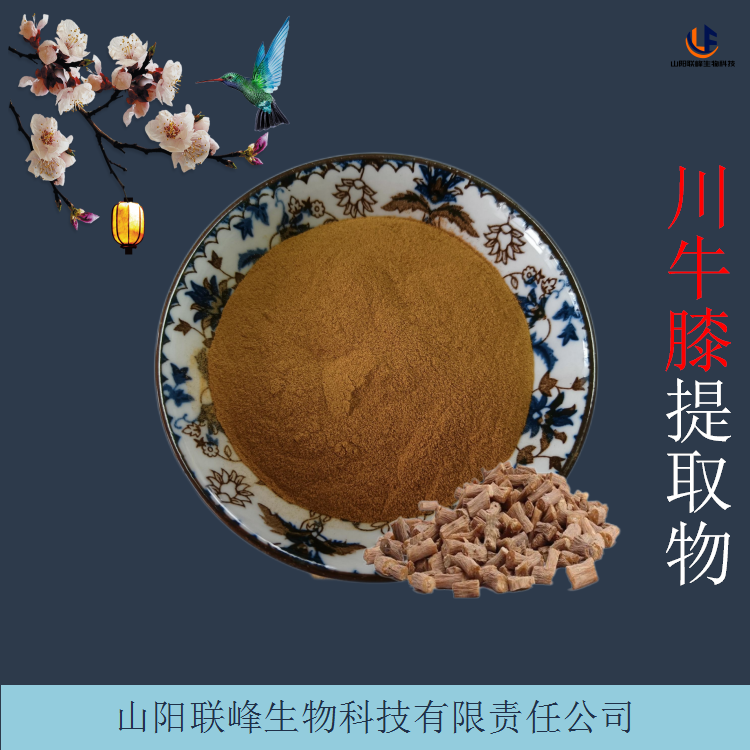 川牛膝提取物 速溶甜牛膝粉 可根据要求定制多种规格