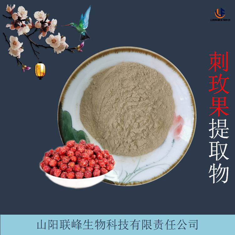 刺玫果提取物 刺玫果皂甙 水溶刺玫果粉 支持含量定制