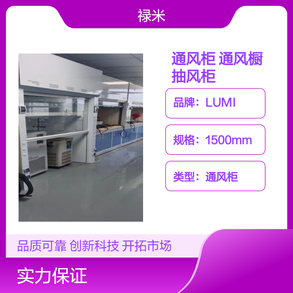 LUMI 实验室全钢通风柜物理化学通风橱步入型抽风柜