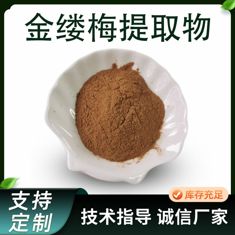 金缕梅提取物 喷雾干燥 10:1 比例 提取 化妆品原料 工厂 可定制