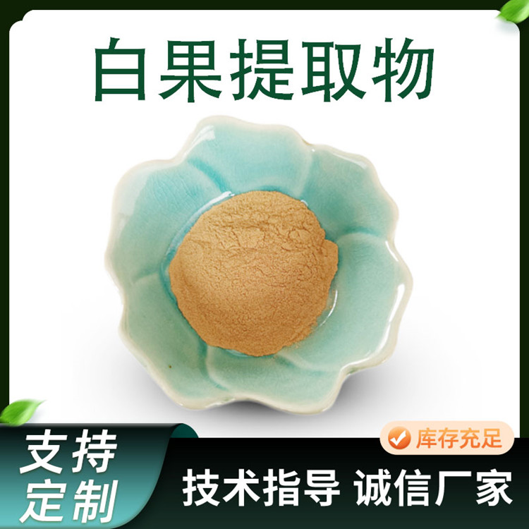 白果提取物 水溶性银杏果浓缩粉 食品级原料 粉末流动性好