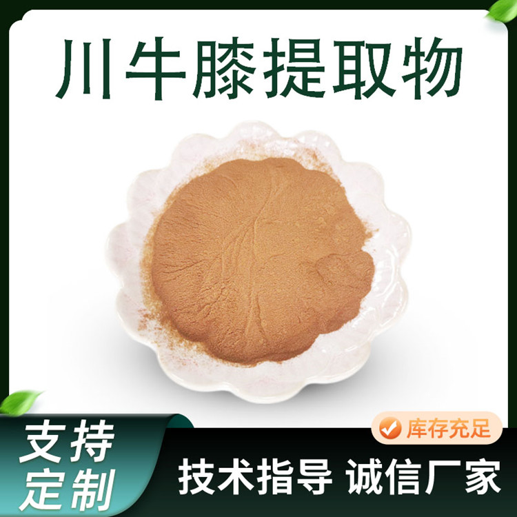 川牛膝提取物 牛膝多糖 10:1浓缩粉 水溶性好 可定制规格