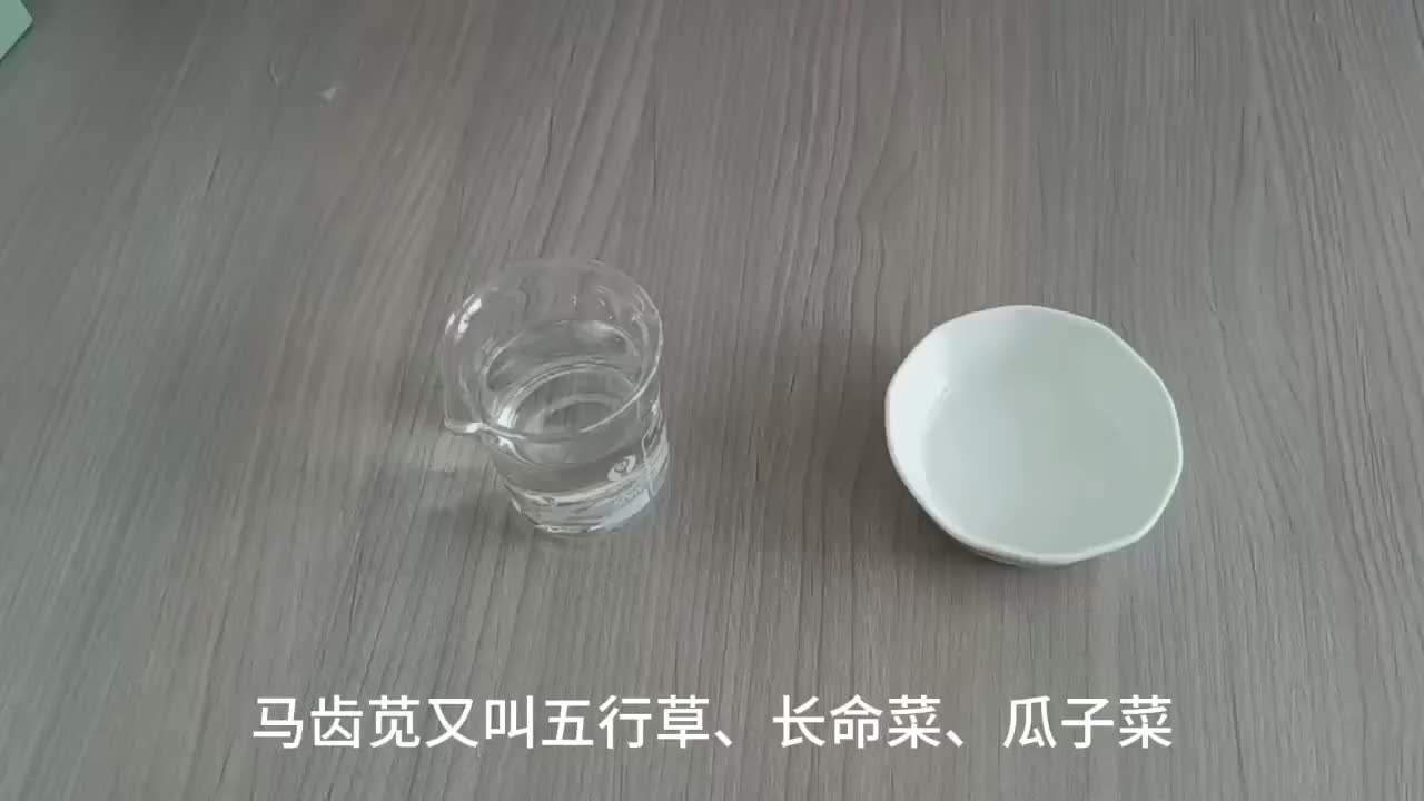 视频