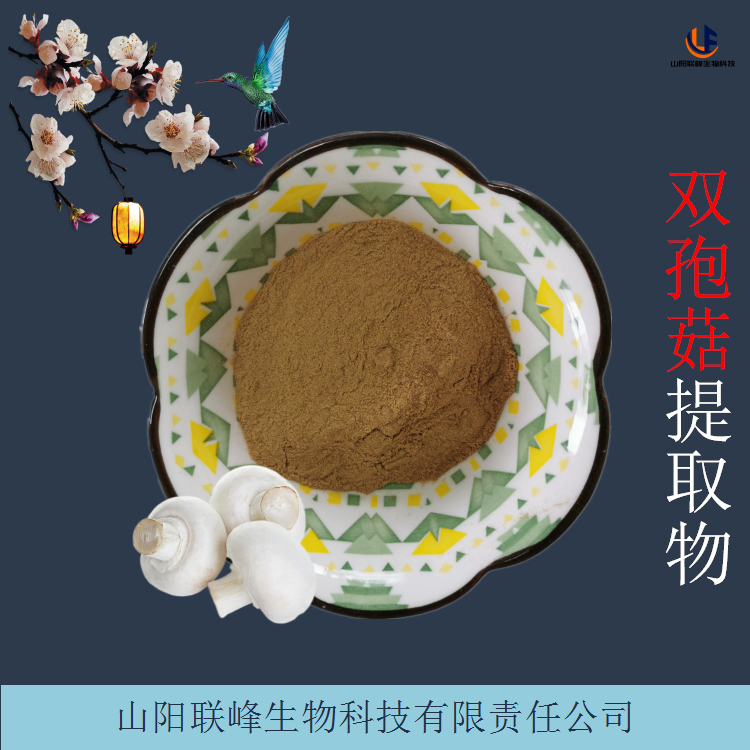 双孢菇提取物 10:1浓缩粉 棕黄色粉末 无肉眼可见杂质