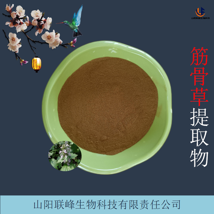 筋骨草提取物 植物浓缩10:1原料粉 含土克甾酮 比例水溶