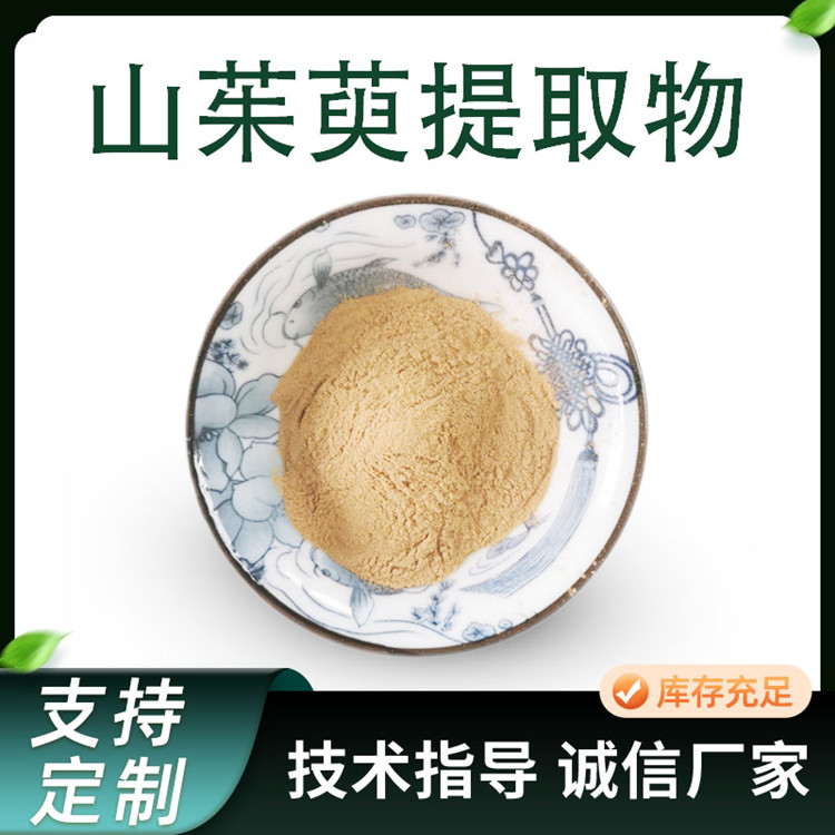 山茱萸提取物 比例水提山萸肉浓缩粉 植物加工原料 易水溶