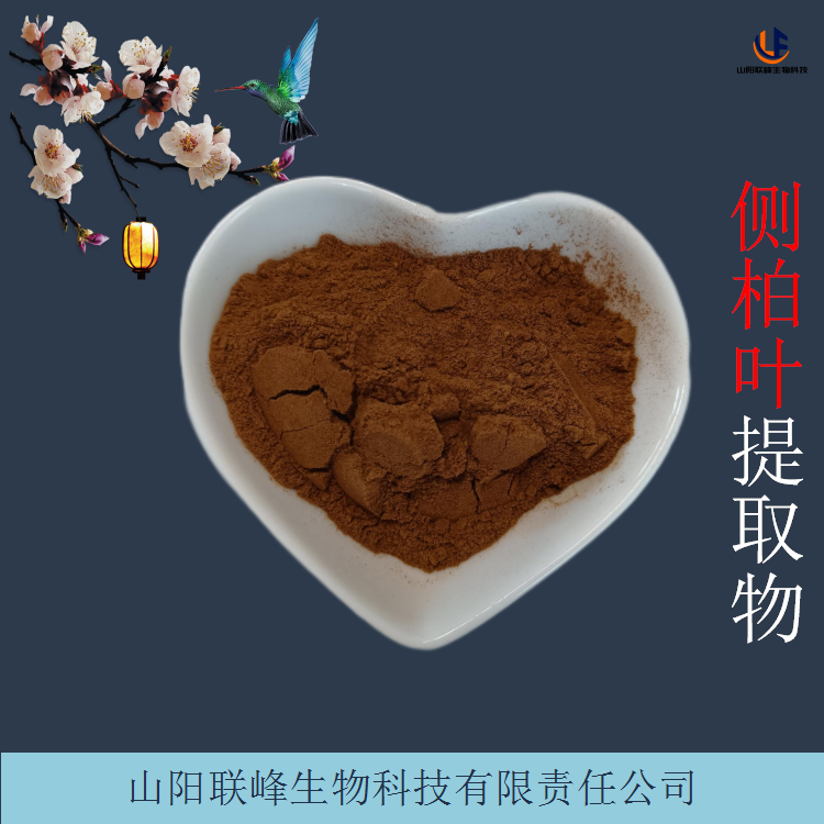 侧柏叶提取物 10:1浓缩浸膏粉 比例柏叶原料萃取物