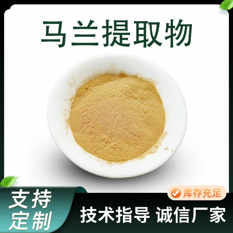 马兰提取物 10:1马兰浓缩粉 水溶原料粉 联峰生物供应