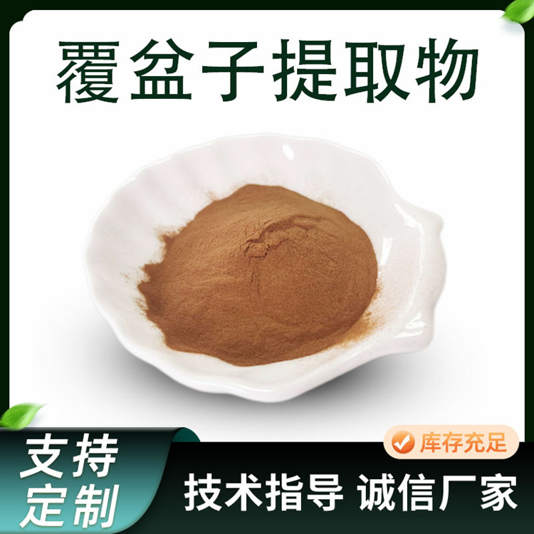 覆盆子提取物 10:1悬钩子水溶粉 覆盆子酮 棕黄色粉末 1kg/袋 SC工厂