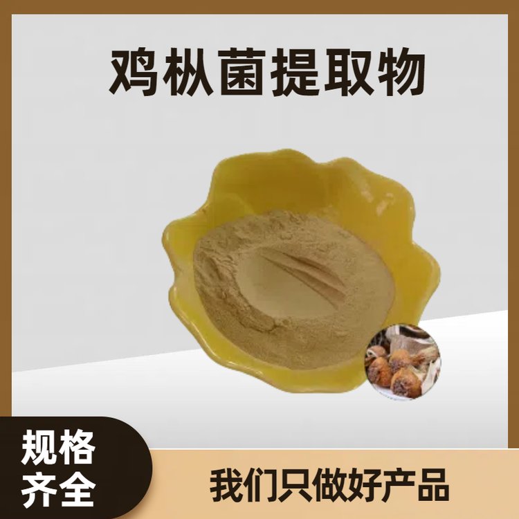 鸡枞菌多糖 伞把菌提取物 实体粉100目 规格多样可定制 可开发票