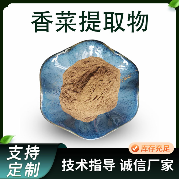 香菜提取物 10:1浓缩粉 蔬菜原料萃取 芫荽粉 喷雾干燥