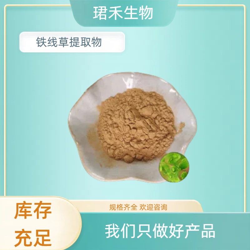 铁线草提取物10:1 铁线蕨浓缩粉 拐子草浸膏 80-100目